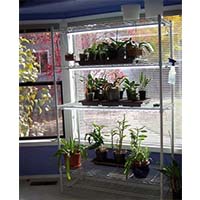 溫室大棚園藝栽培架_園林植物培育架_可調節(jié)層距樹苗花架