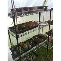 溫室大棚園藝栽培架_園林植物培育架_可調節(jié)層距樹苗花架（2）