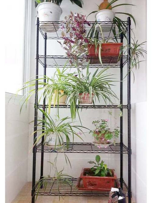 陽臺窗臺植物種植花草線網置物架